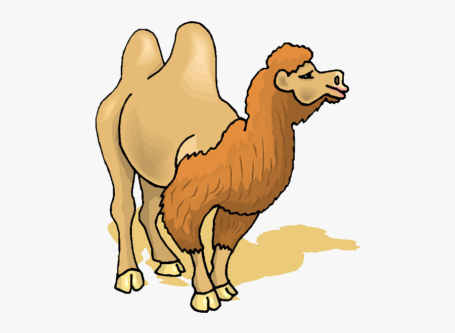 Cute Camel Clipart Funny Pictures - Camel Gif Png, Transparent Clipart
