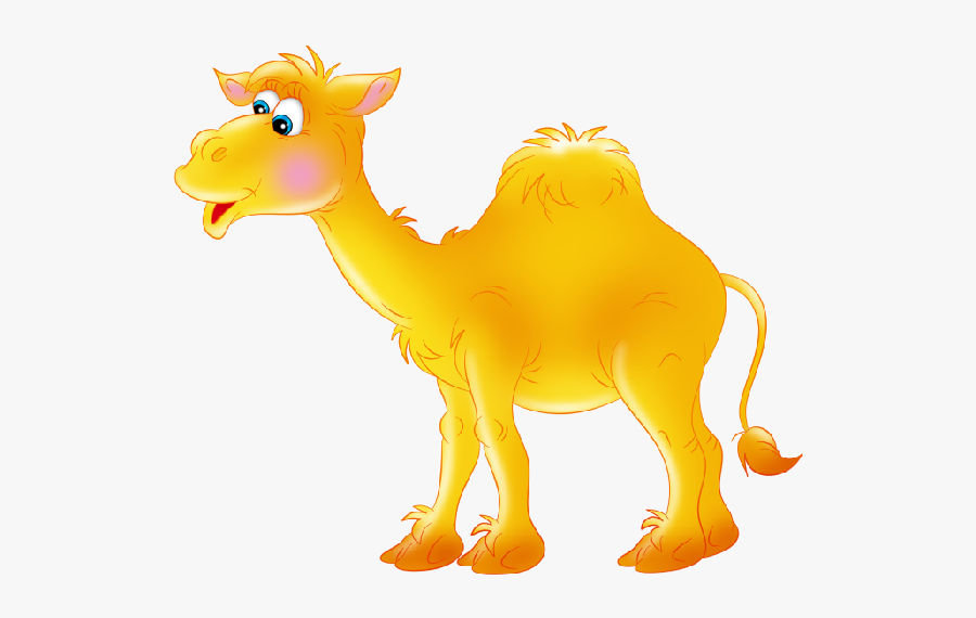 Funny Camel Pictures Clipart - Верблюд Картинка На Прозрачном Фоне, Transparent Clipart
