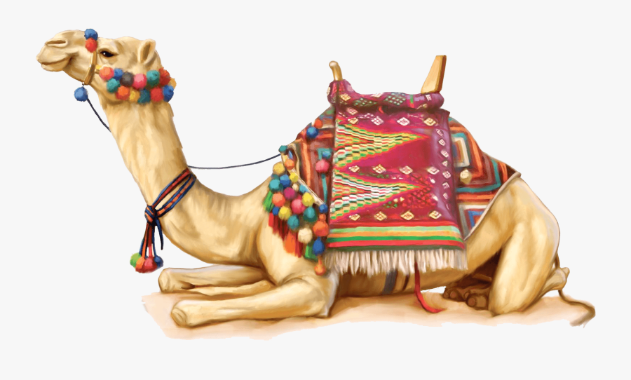 Camel Head Transparent Png - Rajasthani Camel Png , Free ...