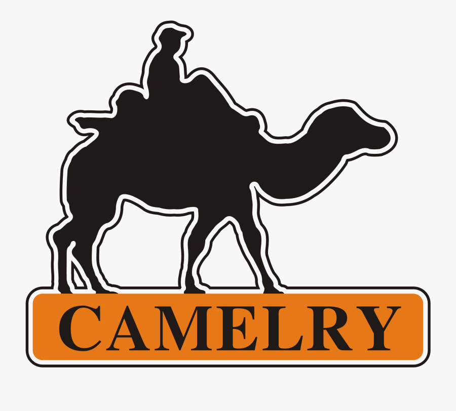 Picture Royalty Free Library Camel Vector Abstract - Air Force Academy Black And White, Transparent Clipart