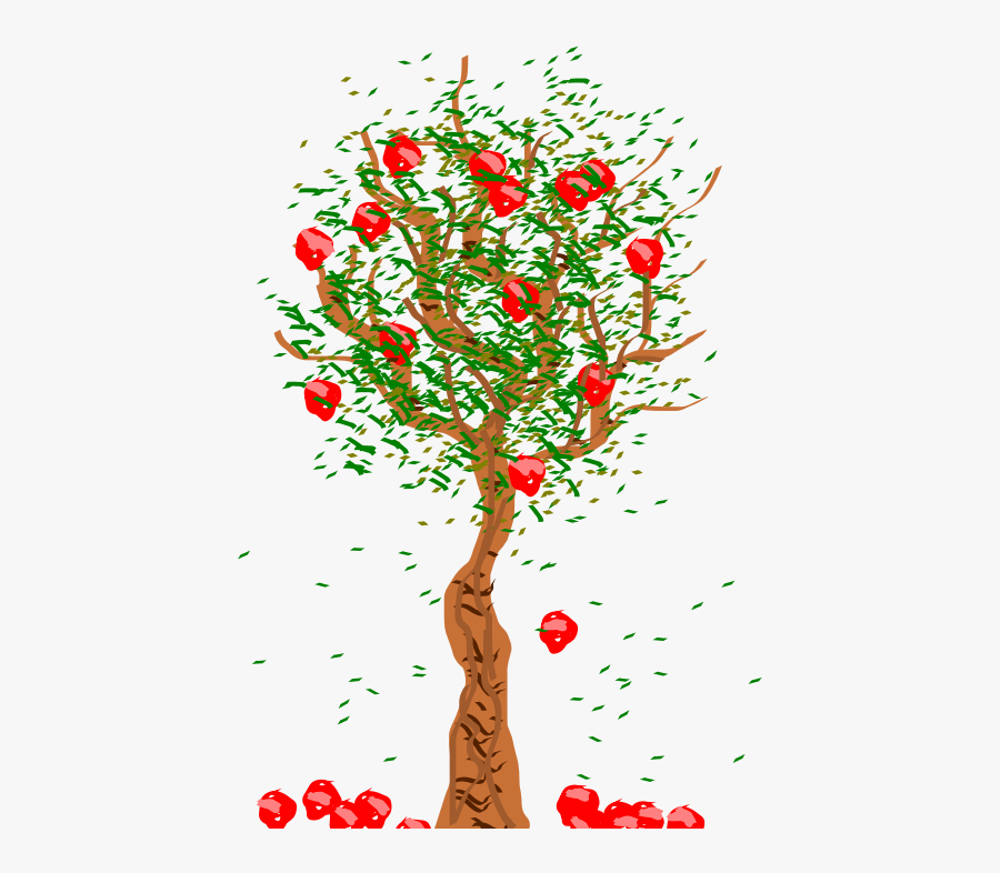 Apple Tree - Falling Fruit From A Tree, Transparent Clipart