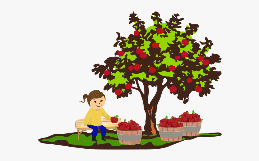 Apple Tree Fall Clipart, Transparent Clipart