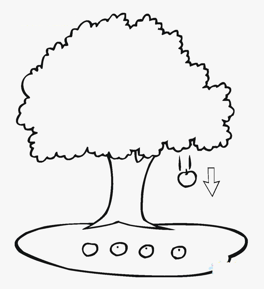 Transparent Falling Clipart Apple Tree Coloring Page Free Transparent Clipart Clipartkey