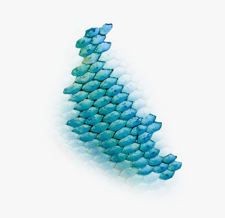 Fish Scales Clipart - Mermaid Fish Scales Png, Transparent Clipart