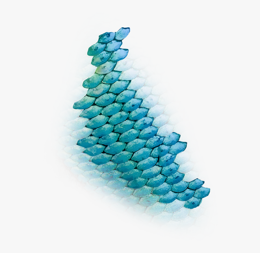 Download Fish Scales Clipart Mermaid Fish Scales Png Free Transparent Clipart Clipartkey