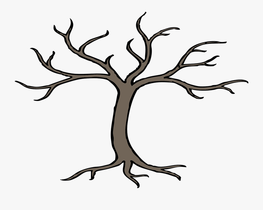 Tree, Branches, Bare, Root, Winter, Forest, Nature - Bare Tree Clip Art, Transparent Clipart