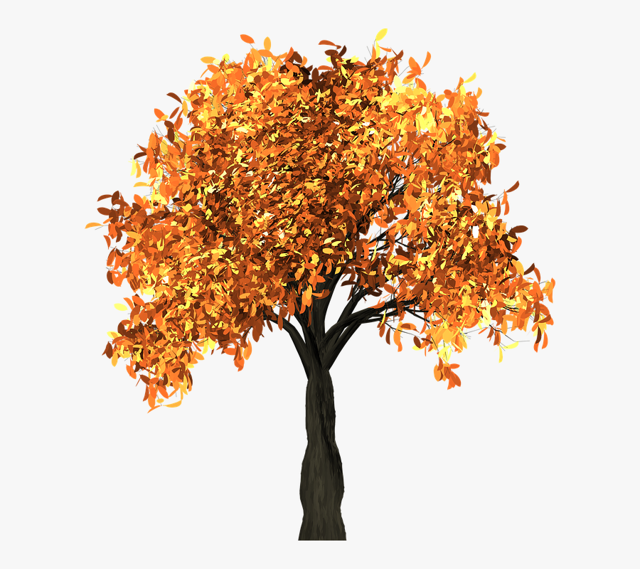 Transparent Autumn Trees Png - Frutos Del Espiritu Santo Y, Transparent Clipart
