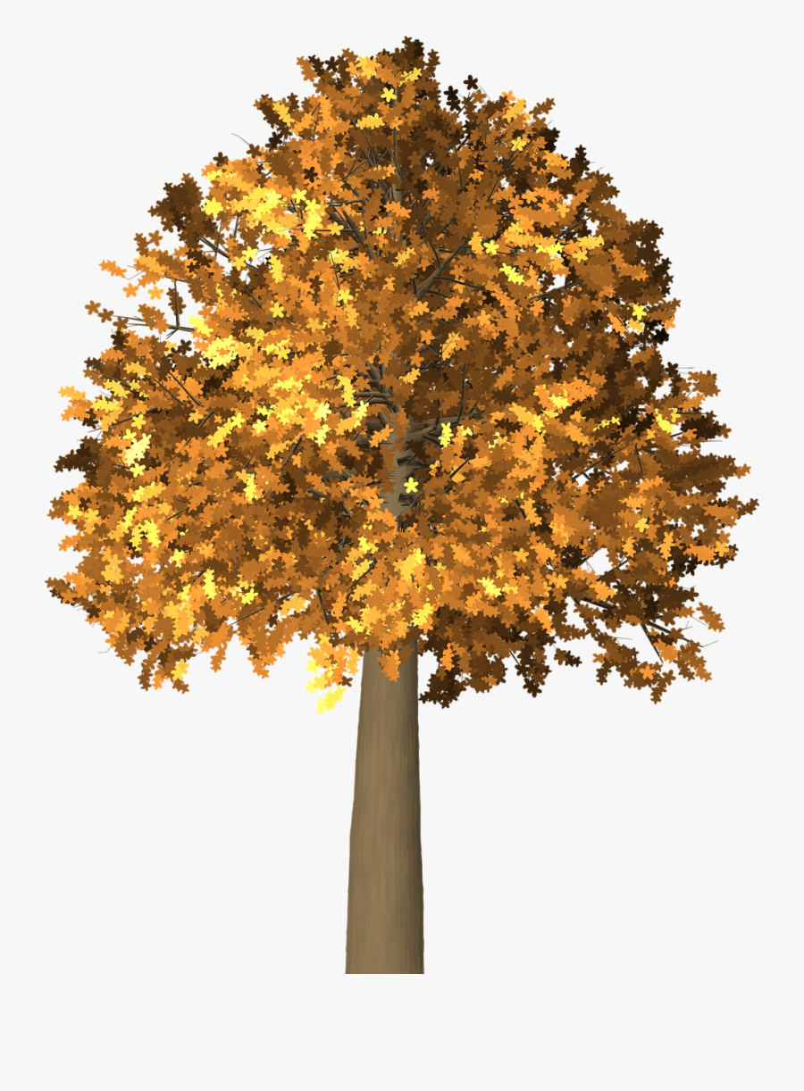 Tree, Leaves, Autumn, Fall, Branches, Isolated, Nature - Autumn, Transparent Clipart