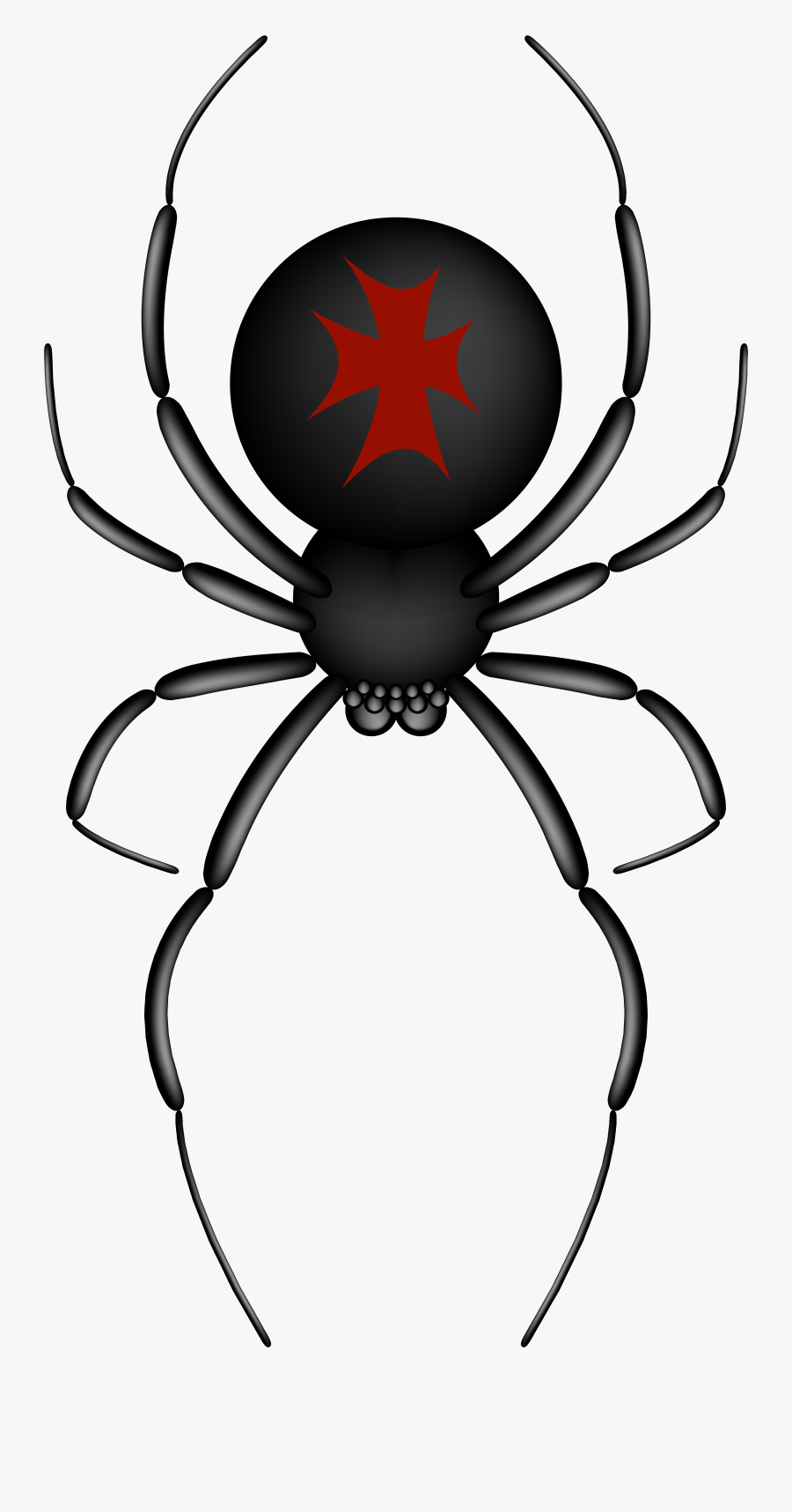 Crusader Spider Transparent Png Clip Art Image - Cartoon Spider Transparent Background, Transparent Clipart
