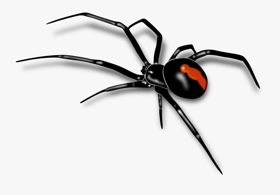 Images For Spiders Clipart - Black Widow Spider Png, Transparent Clipart