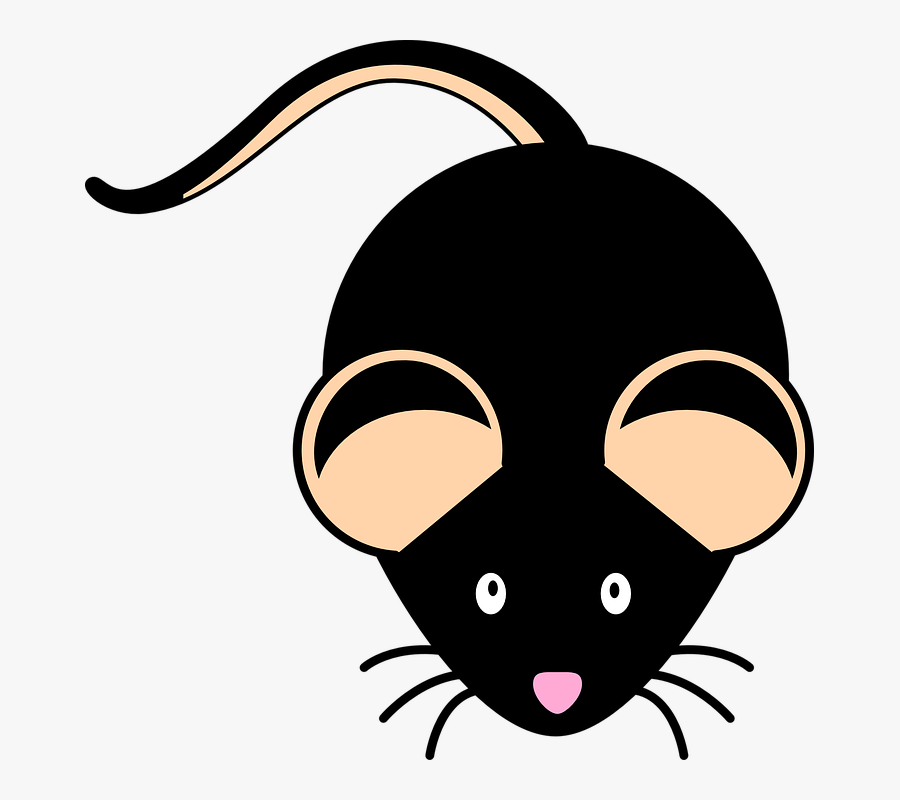 Cute Clipart Mouse , Free Transparent Clipart - ClipartKey