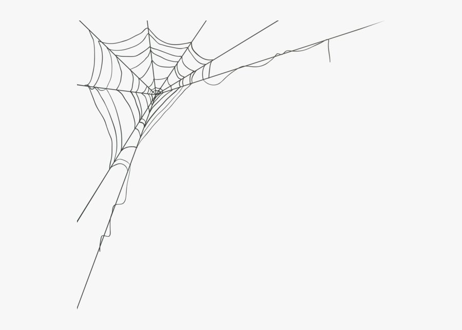 Transparent Spider Web Images Clipart - Corner Spider Web Transparent Background, Transparent Clipart