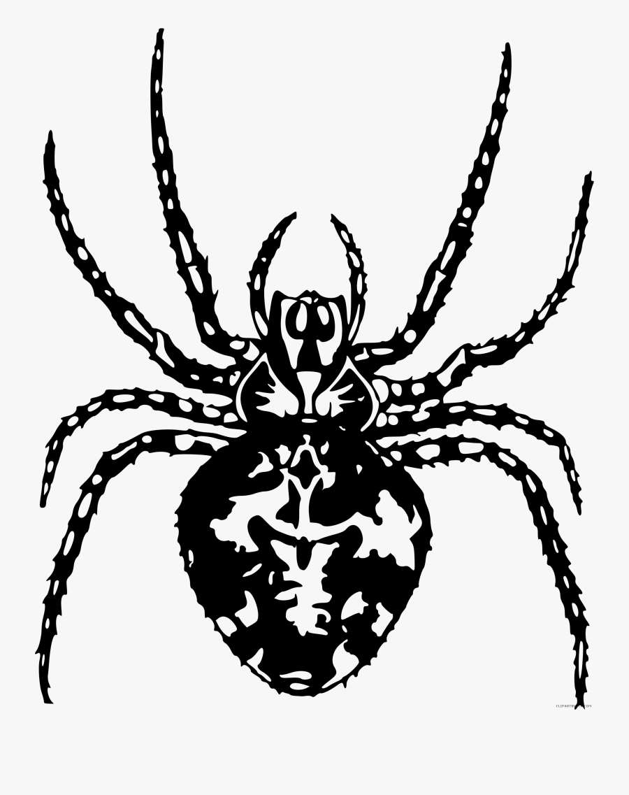 Spider - Spider Clipart Black And White Png , Free Transparent Clipart ...