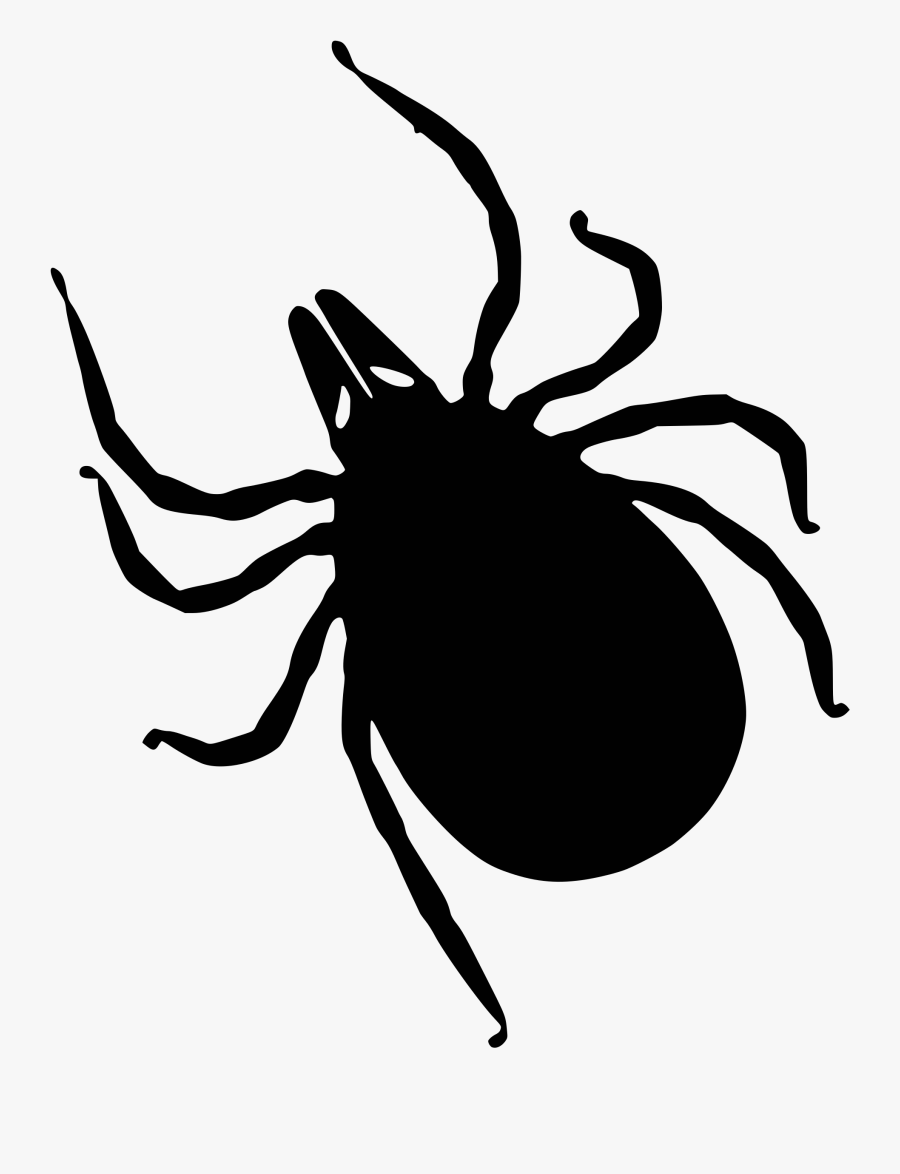 Insect Clipart Spider - Tick Silhouette, Transparent Clipart