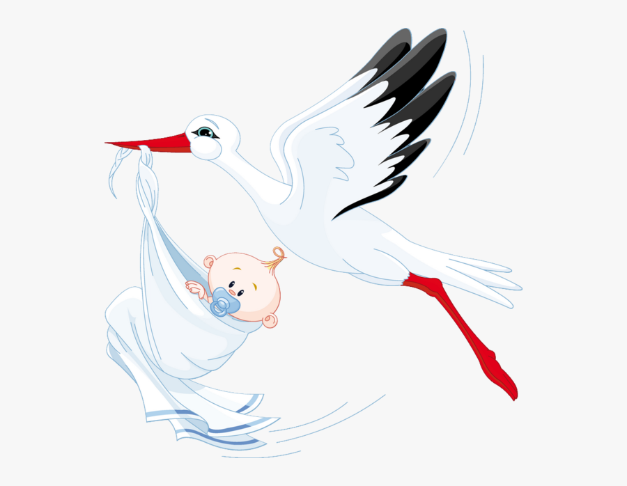 Stork With Baby, Transparent Clipart
