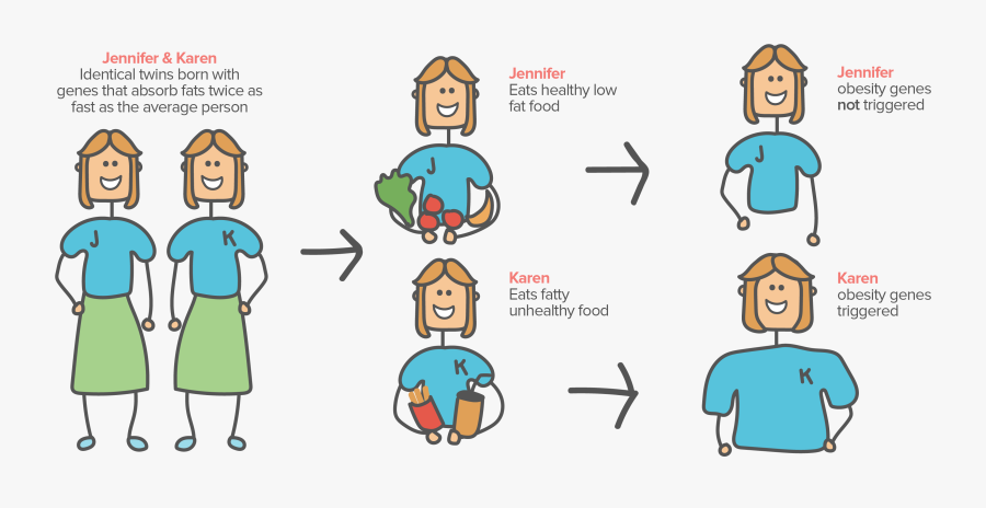 Gene Environment Interaction Examples, Transparent Clipart