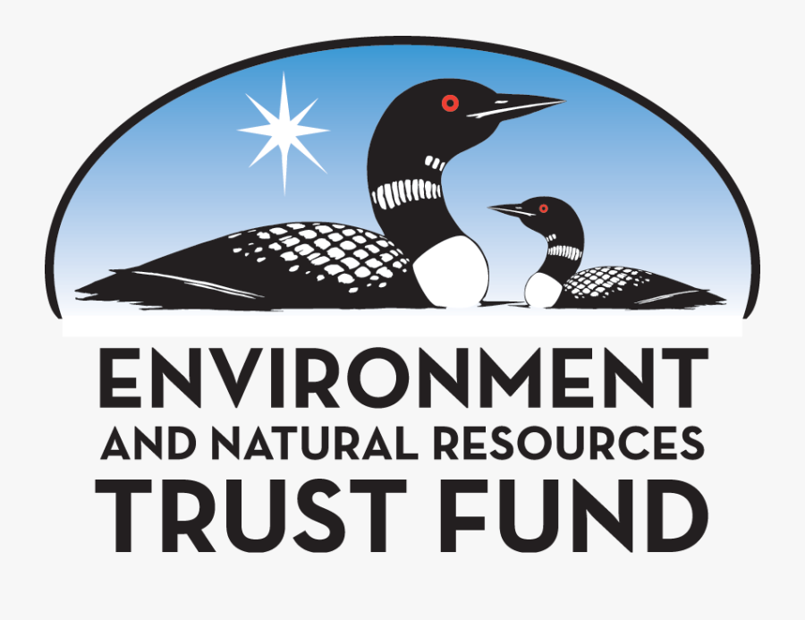 Environment And Natural Resources Trust Fund, Transparent Clipart