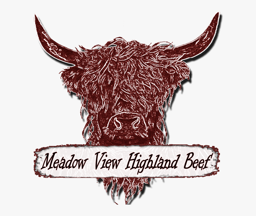 Meadow View Highland Beef - Illustration, Transparent Clipart
