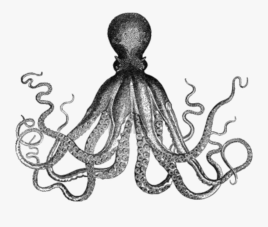 Octopus Antique Kraken Clip Art - Octopus Graphic, Transparent Clipart