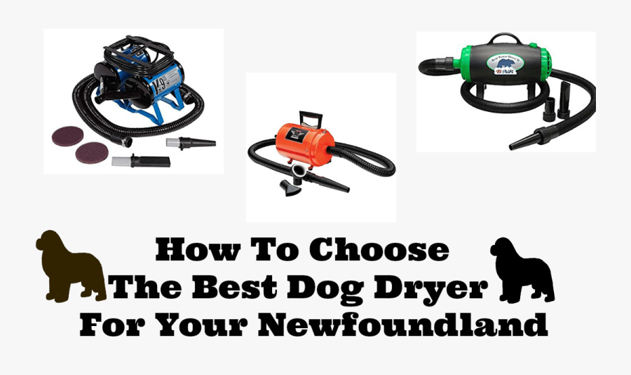 How To Choose The Best Dog Dryer For Your Newfoundland, Transparent Clipart