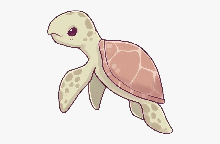 #turtle #sealife #sea #ocean #cute #kawaii #naomilord - Hawksbill Sea Turtle Drawing, Transparent Clipart