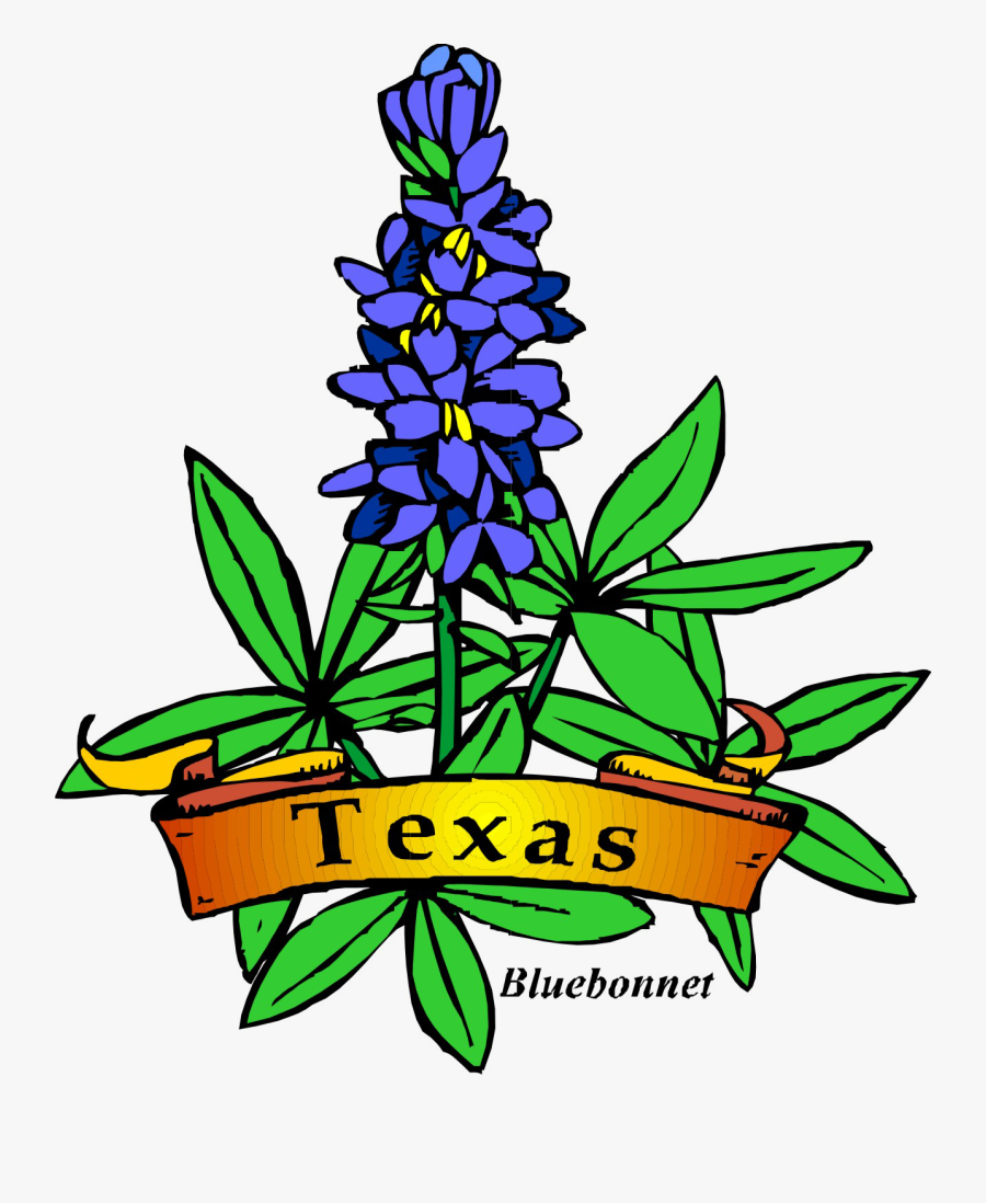 drawing-texas-state-flower-free-transparent-clipart-clipartkey