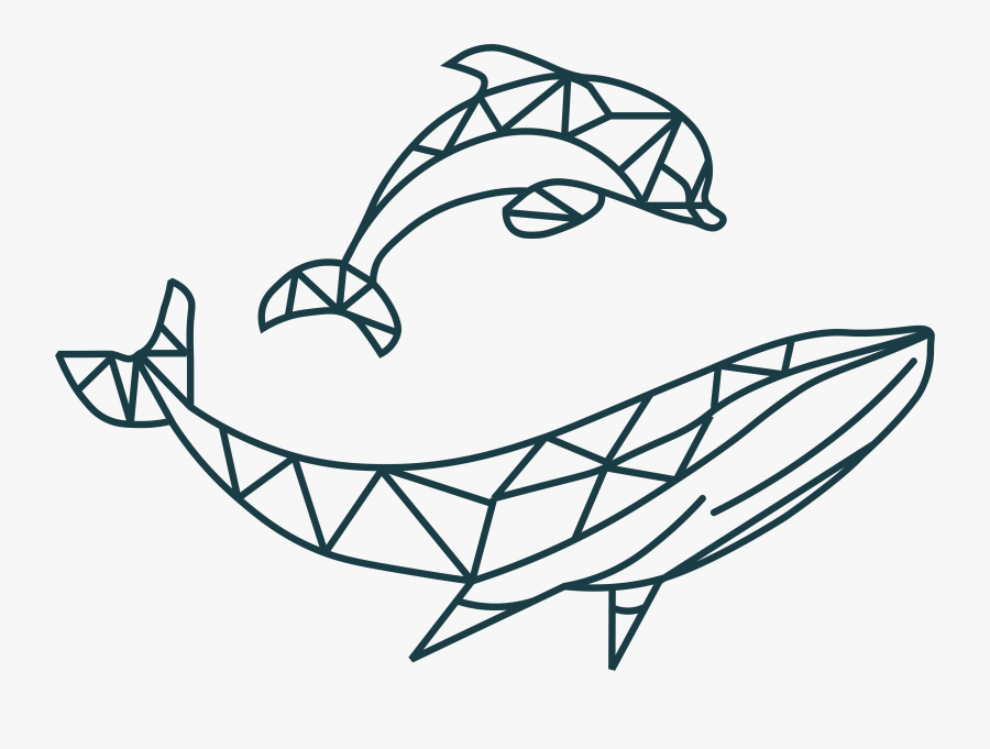 Hebridean Whale And Dolphin Trust, Transparent Clipart