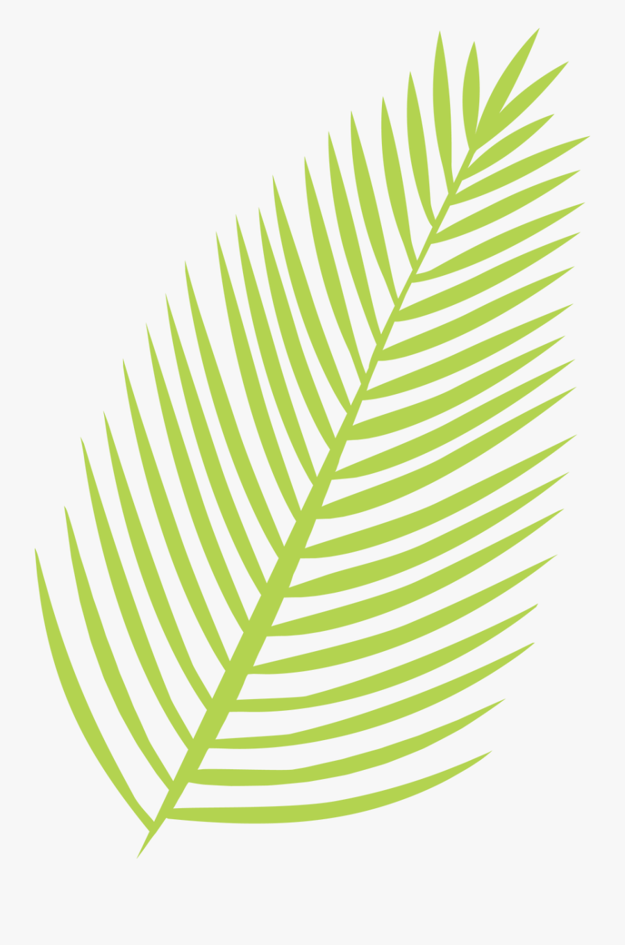 Palm Leaf Svg Cut File - Palm Leaf Svg, Transparent Clipart