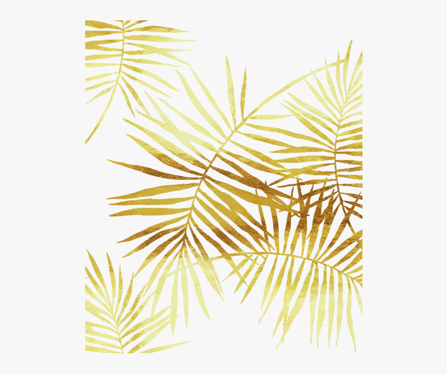 Transparent Gold Palm Tree Leaves, Transparent Clipart