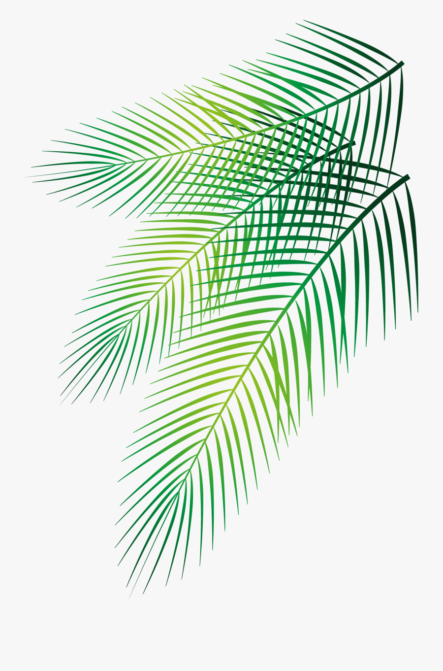 Clip Art Palm Leaf Patterns - Date Palm Leaf Vector, Transparent Clipart