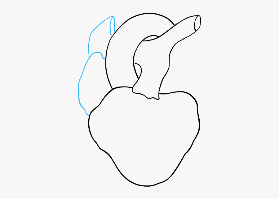 How To Draw Human Heart - Simple Drawing Human Heart, Transparent Clipart