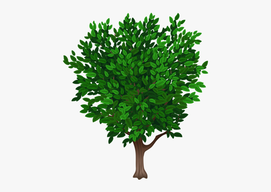 Green Apple Tree Vector, Transparent Clipart