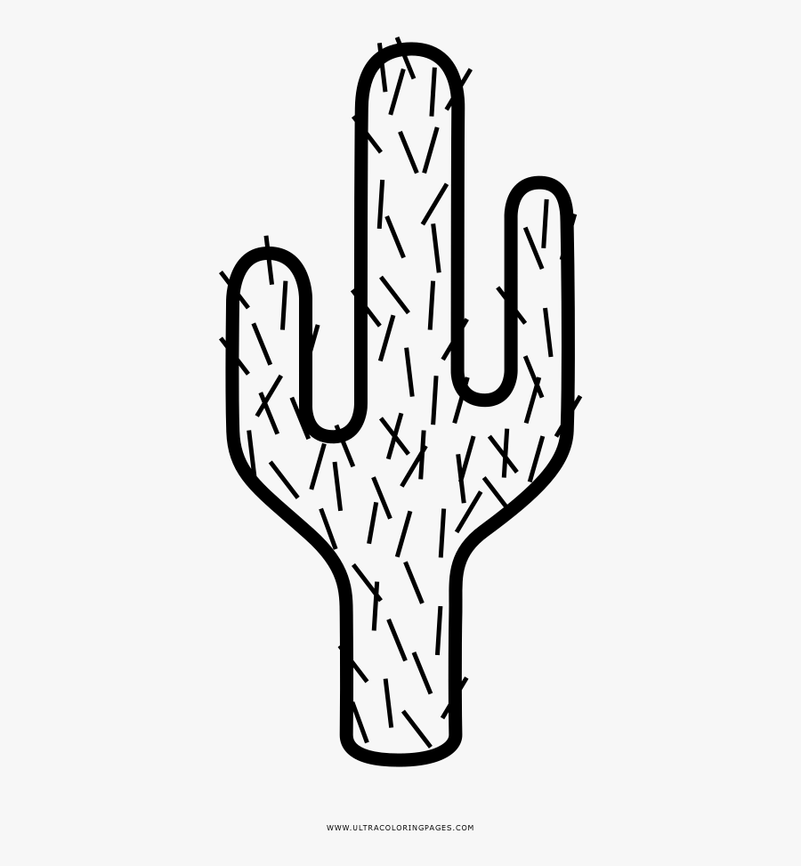 Cactus Coloring Page - Illustration, Transparent Clipart