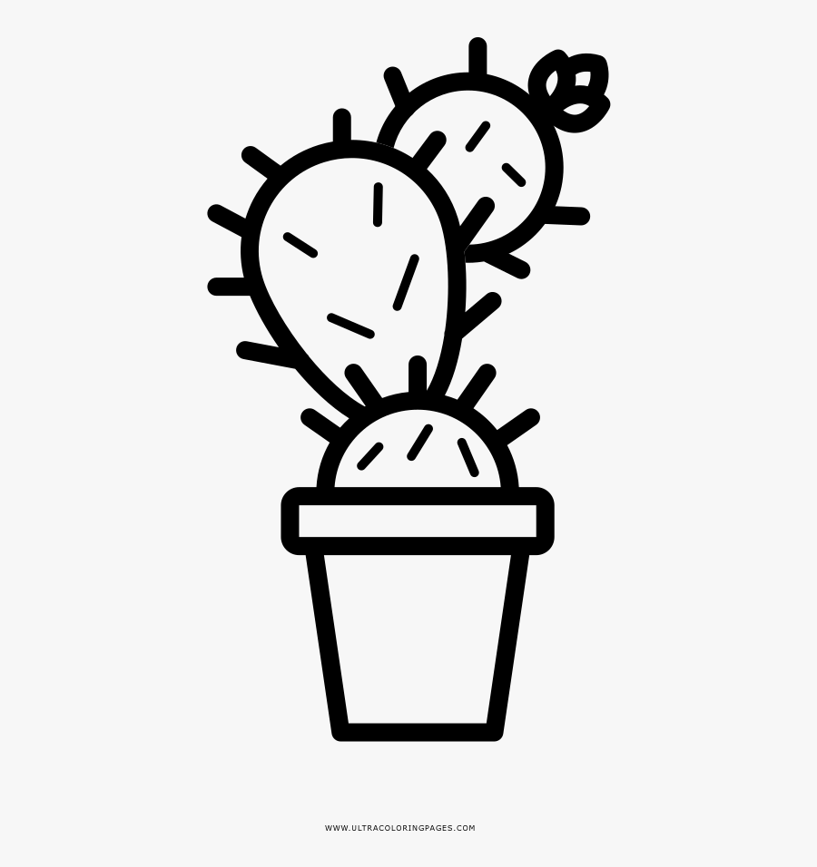 Potted Coloring Page, Transparent Clipart