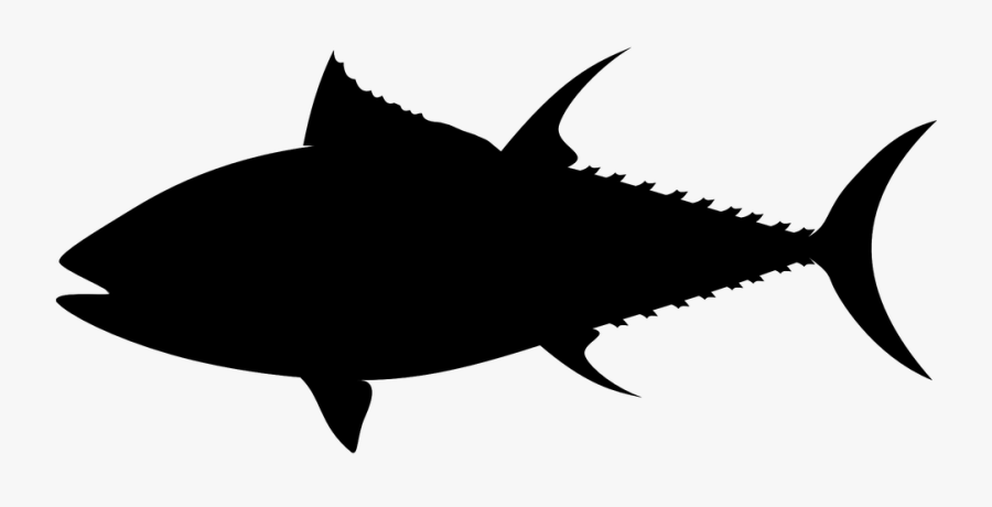 Transparent Fish Symbol Png - Tuna Fish Silhouette, Transparent Clipart