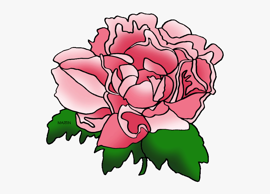 United States Clip Art By Phillip Martin, Indiana State - Clipart Peony, Transparent Clipart
