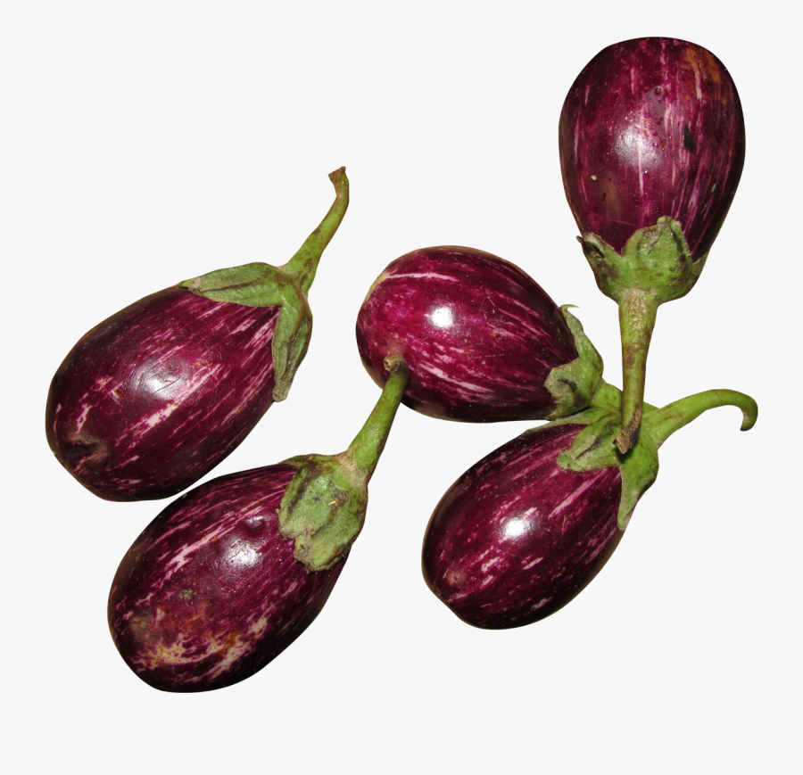 Fresh Brinjal Png Image - Brinjal Vegetables Hd Png, Transparent Clipart