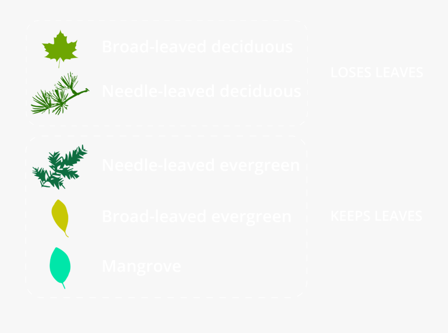 Green Maple Leaf, Transparent Clipart