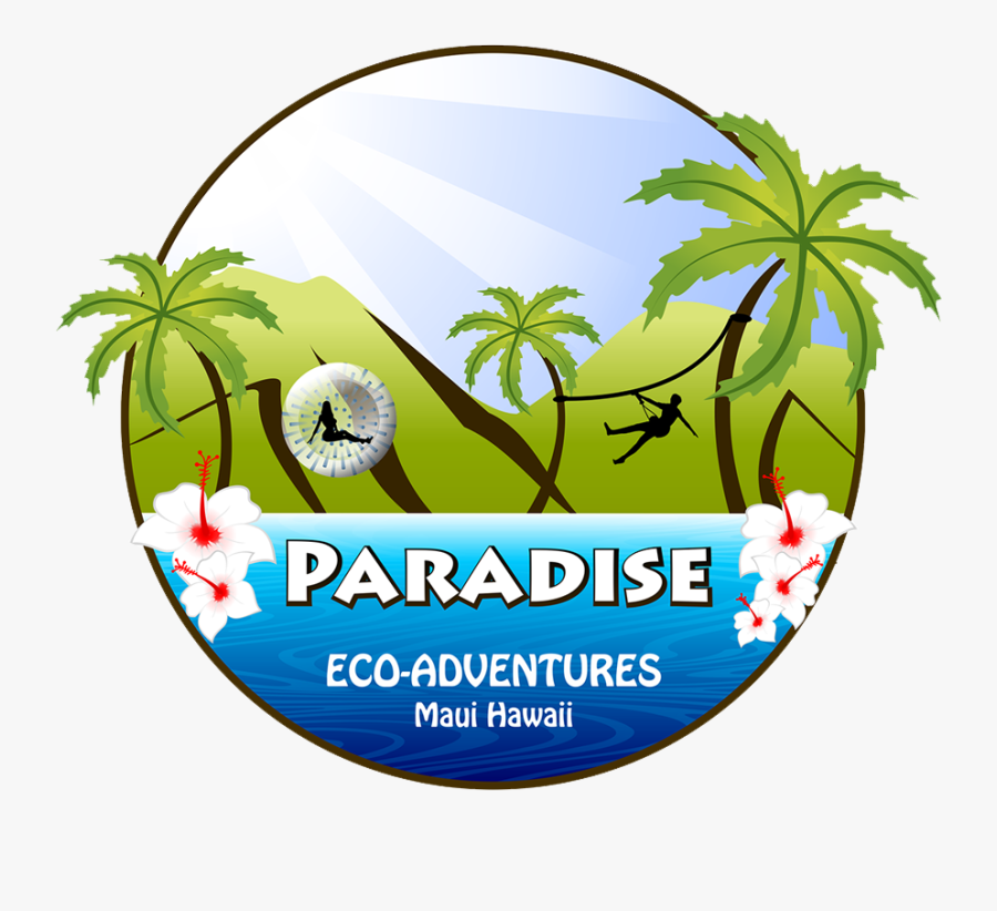 Paradise Eco-adventures - Pat Metheny Quartet Live, Transparent Clipart