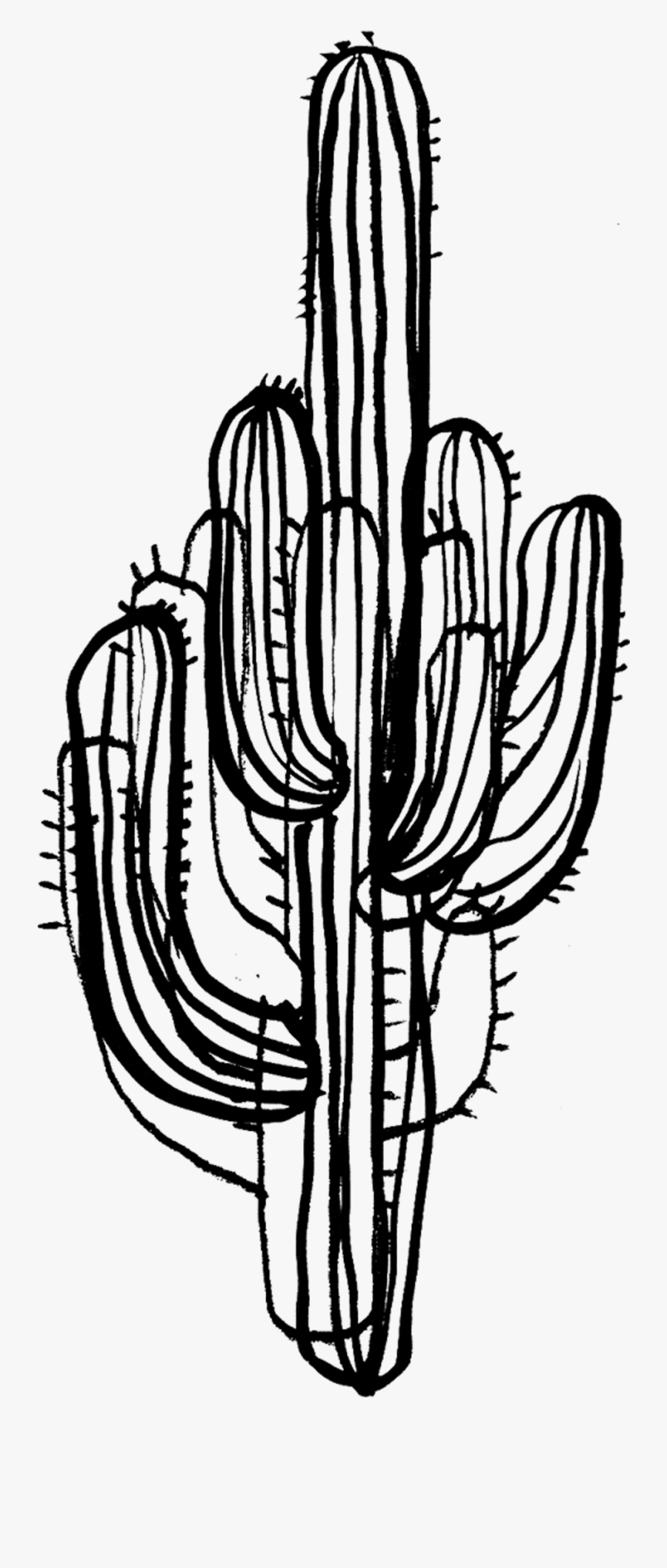 Saguaro Cactus Black And White, Transparent Clipart