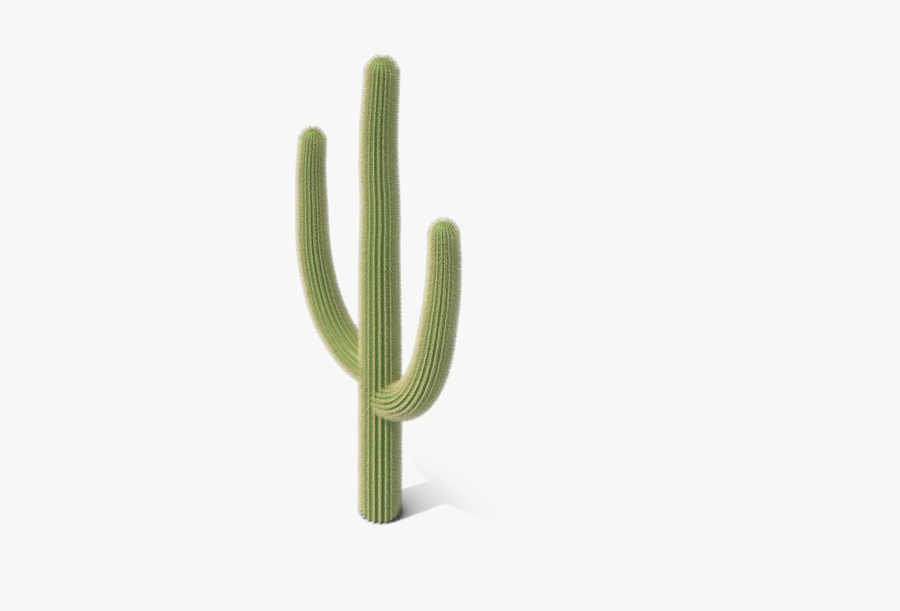 Saguaro Cactus Png Image Cactus Png Free Transparent Clipart Clipartkey