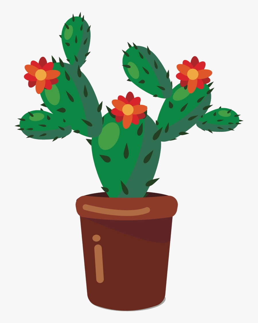 Drawing Prickly Pear Cactus, Transparent Clipart