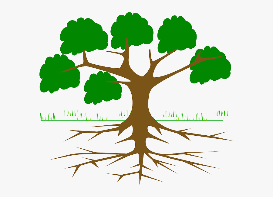 Tree, Branches, Root, Eco, Ecology, Nature, Plant - Root Cause Tree
