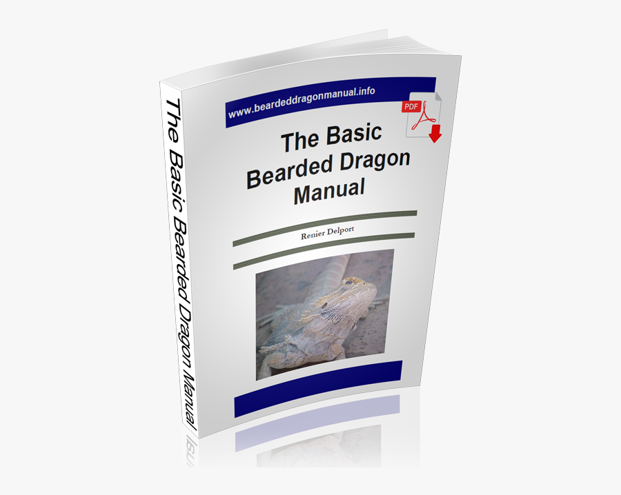 The Basic Bearded Dragon Manual - Whale Shark, Transparent Clipart