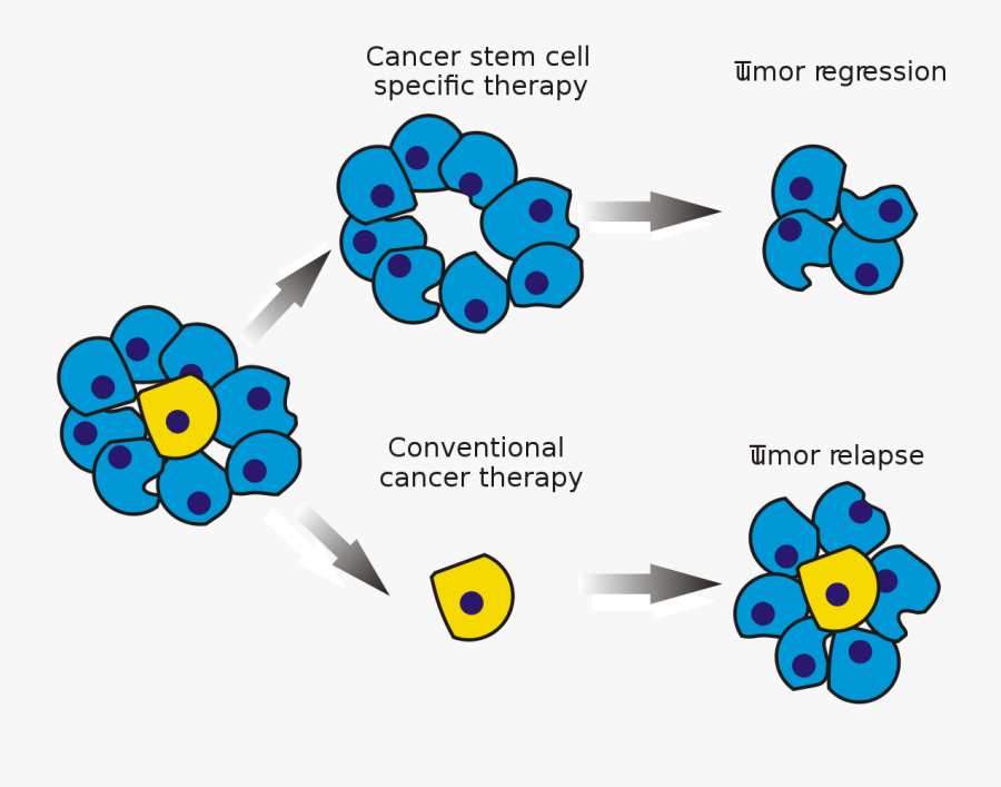 Cancer Cells After Chemotherapy, Transparent Clipart
