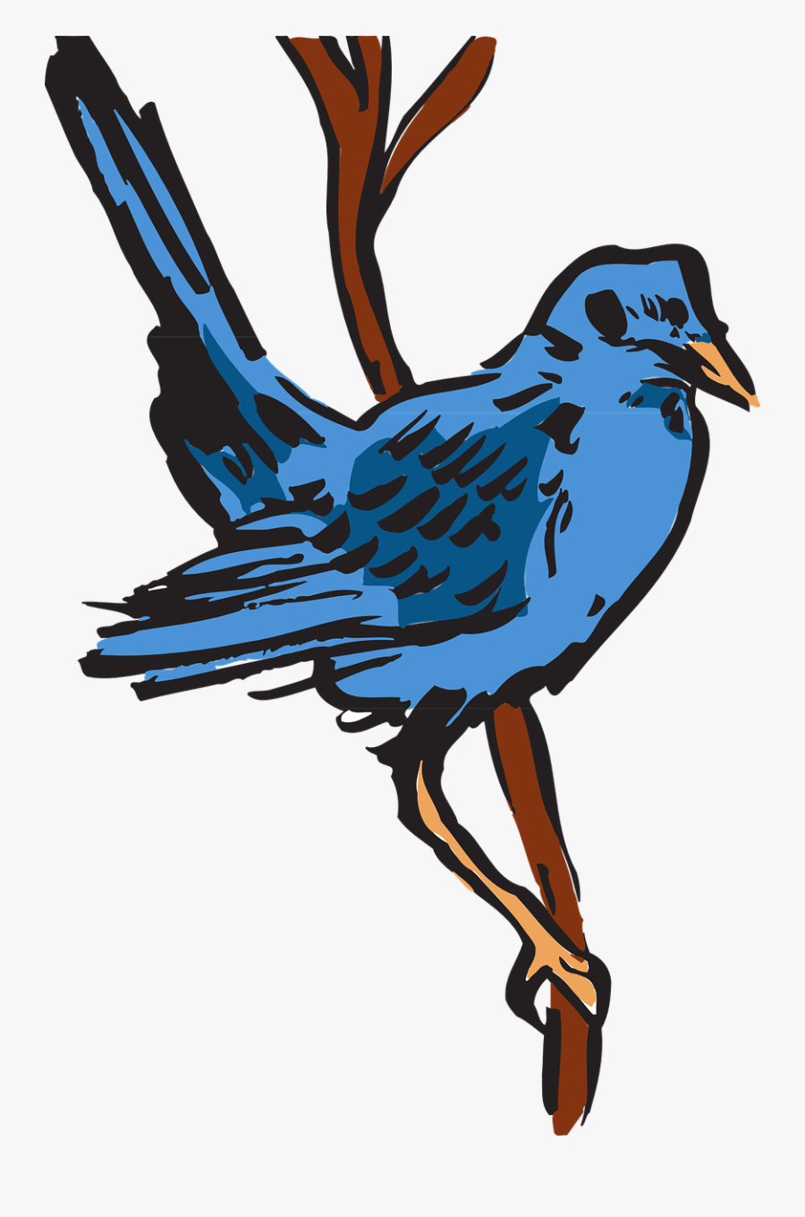 Blue Bird Feathers Free Picture - Dessin D Oiseau A Plumes, Transparent Clipart
