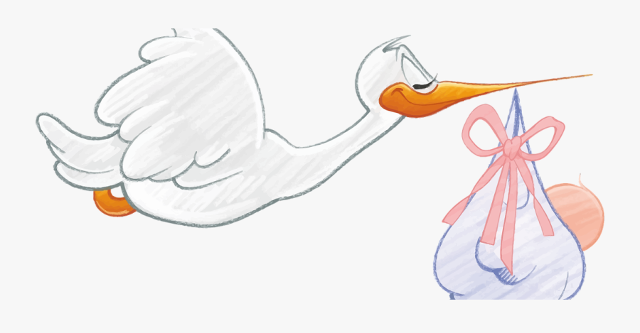 Pregnancy No-nos - Cartoon Stork Baby Girl, Transparent Clipart