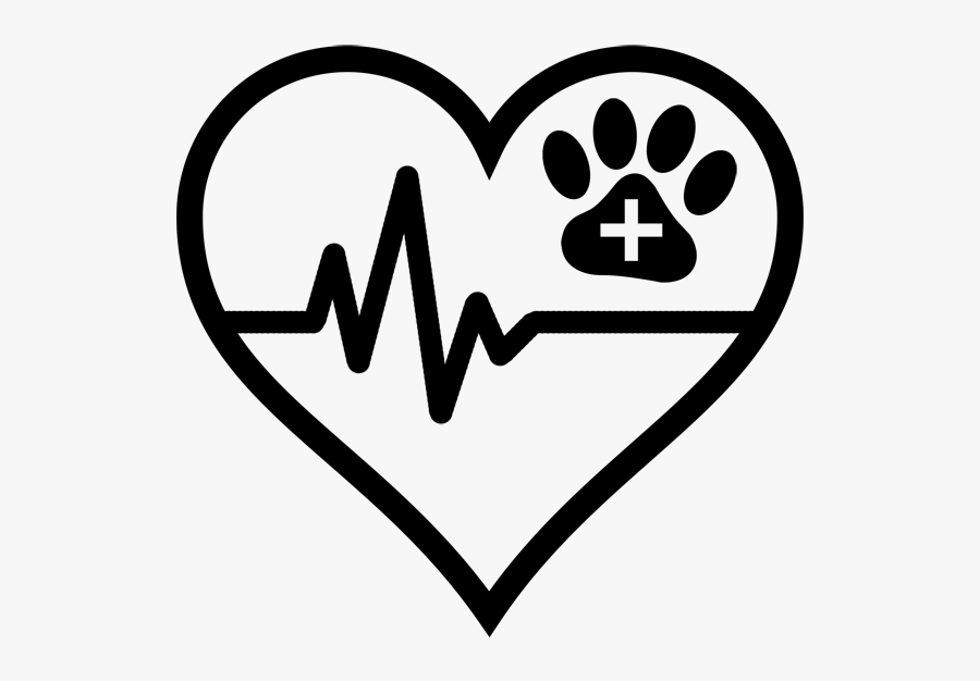 Cardiology Icon - Heart Icon, Transparent Clipart