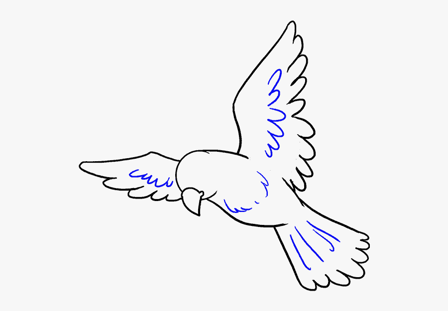 How To Draw Bird - Bird Drawing Easy , Free Transparent Clipart ...