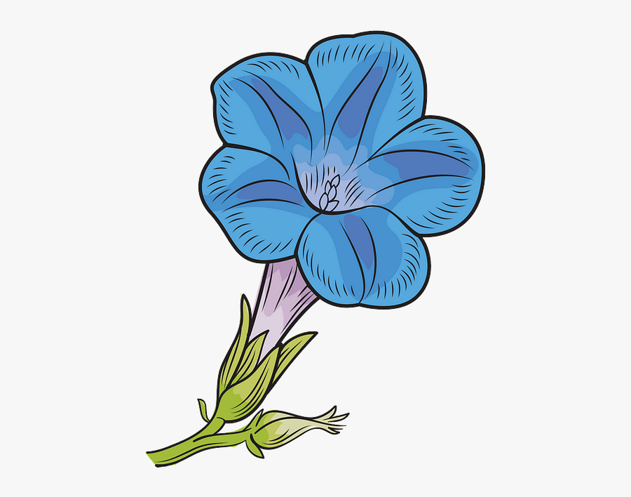 Hawaiian Hibiscus , Free Transparent Clipart - ClipartKey